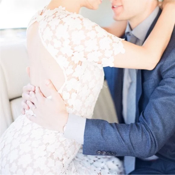 Stunning Lowry Dress By Jill Stuart Anthropologie BHLDN Collection Dress Size 6 - Picture 3 of 11